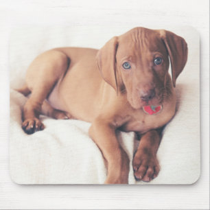 Ungar Vizsla Welpe Mousepad