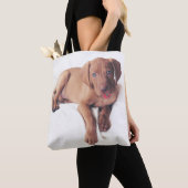 Ungar Vizsla Welpe Tasche (Von Nahem)