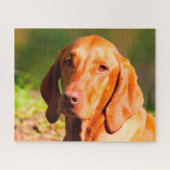 Ungarisch Vizla Dog Jigsaws. Puzzle (Horizontal)