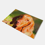 Ungarisch Vizla. Fußmatte (Schrägansicht)