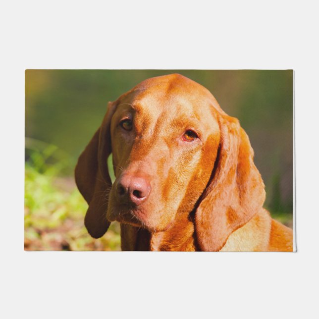 Ungarisch Vizla. Fußmatte (Vorderseite)