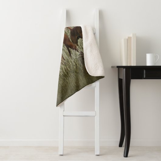 Ungarisch Vizsla Art Sherpadecke (Beispiel)