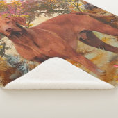 Ungarisch Vizsla art Throw Kissen Glass Untersetze Sherpadecke (3/4)