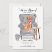 Ungarisch Vizsla Dog | Ankündigung der Beförderung (Vorderseite)