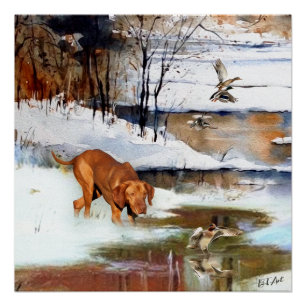 Ungarisch Vizsla, Jagd auf Enten im Winter Poster