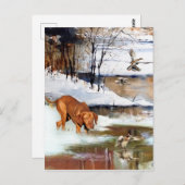 Ungarisch Vizsla, Jagd auf Enten im Winter Postkarte (Vorne/Hinten)