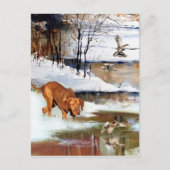Ungarisch Vizsla, Jagd auf Enten im Winter Postkarte (Vorderseite)