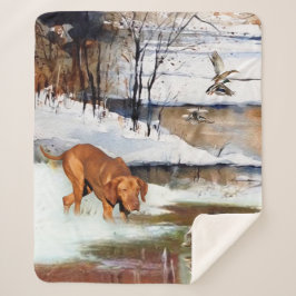 Ungarisch Vizsla, Jagd auf Enten im Winter Sherpadecke