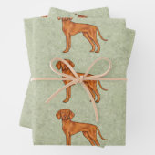 Ungarisch Vizsla Niedlich Pointer Dog Pattern Gree Geschenkpapier Set (Beispiel)