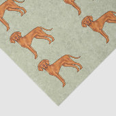 Ungarisch Vizsla Niedlich Pointer Dog Pattern Gree Seidenpapier (Ausschnitt)