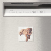 Ungarisch Vizsla Puppy Magnet (In Situ (Geschirrspüler))