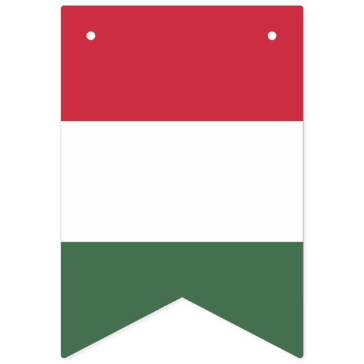 Ungarische Flagge (Zweite Fahne)
