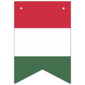 Ungarische Flagge (Dritte Fahne)