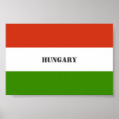 Ungarische Flagge, Budapest Poster (Vorne)