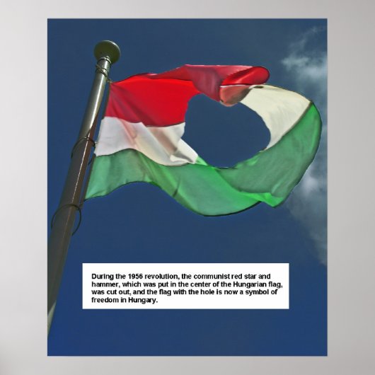 Ungarische Flagge der Revolution Poster (Vorne)