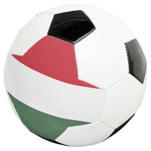 Ungarische Flagge Fußball (Dreiviertel)