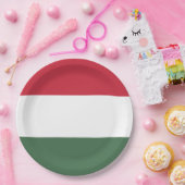 Ungarische Flagge Pappteller (Party)