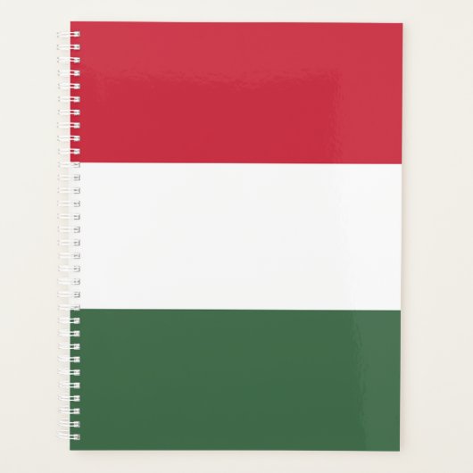 Ungarische Flagge Planer (Vorderseite)