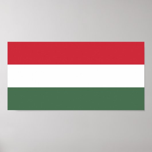 Ungarische Flagge Poster (Vorne)
