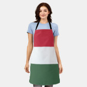 Ungarische Flagge Schürze (Getragen)