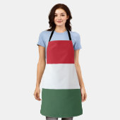 Ungarische Flagge Schürze (Getragen)
