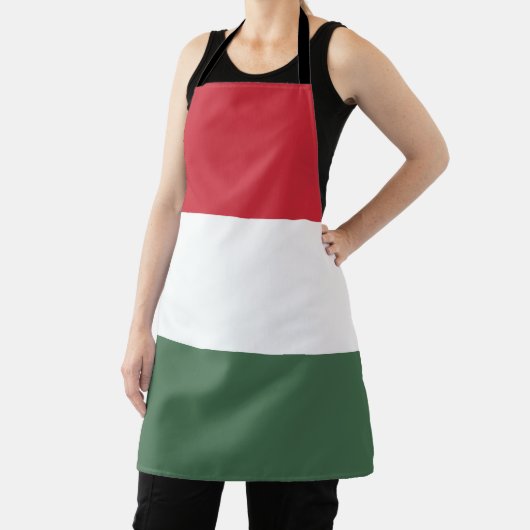 Ungarische Flagge Schürze (InSitu)