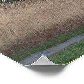 Ungarische Landschaft Poster (Ecke)