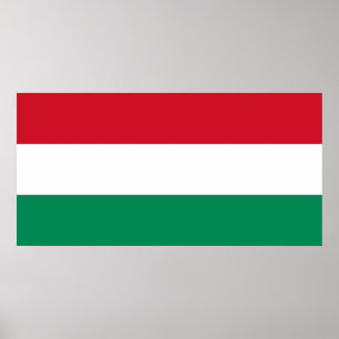 Ungarische Nationalflagge Poster