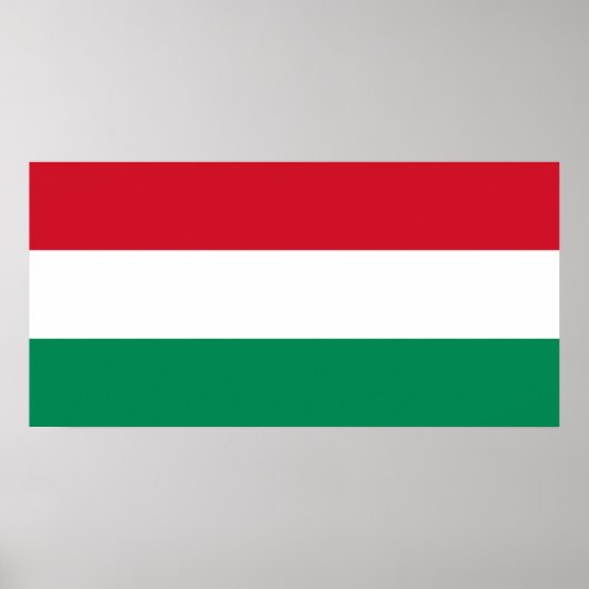 Ungarische Nationalflagge Poster (Vorne)