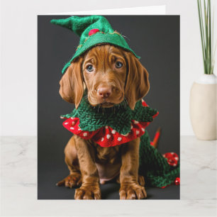 Ungarische Vizla Elf Welpe Weihnachtskarte Karte