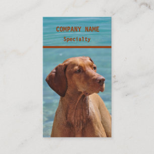 Ungarische Vizsla-Hunde Visitenkarten Visitenkarte