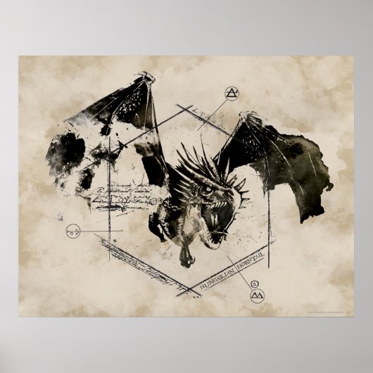 Ungarischer Hornschwanzdrache Poster (Vorne)