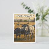Ungarischer Nationalpark Hortobagy Postkarte (Stehend Vorderseite)