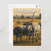 Ungarischer Nationalpark Hortobagy Postkarte (Vorne/Hinten)