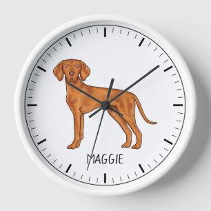 Ungarischer Niedlicher Pointer Dog von Vizsla mit  Uhr