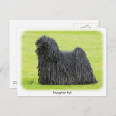 Ungarischer Puli 9R71D-101 Postkarte (Vorne/Hinten)