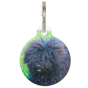 Ungarischer Puli Hund. Haustiermarke
