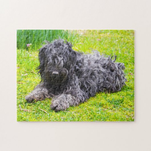 Ungarischer Puli Hund. Puzzle (Horizontal)