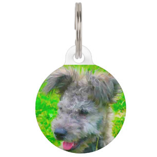 Ungarischer Pumi-Hund. Haustiermarke