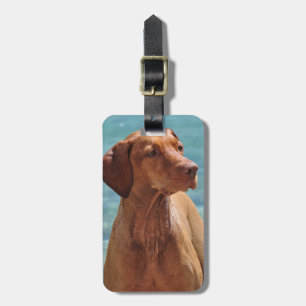 Ungarischer Vizsla-Hund Gepäckanhänger