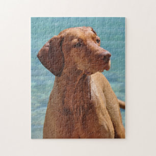 Ungarischer Vizsla-Hund Puzzle