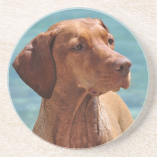Ungarischer Vizsla-Hund Untersetzer