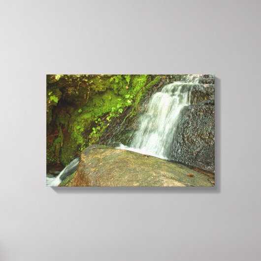 Ungarischer Wasserfall Moosiger Wald Wasserfall Leinwanddruck (Vorderseite)