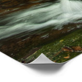 Ungarischer Wasserfall Moosiger Wald Wasserfall Poster (Ecke)