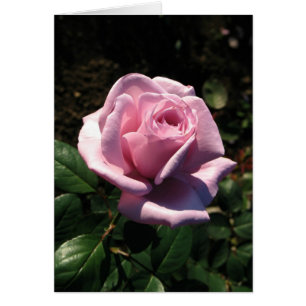 Ungarisches-Boldog születésnapot