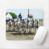 Ungarisches Pferd Mousepad (Mit Mouse)
