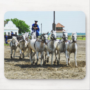 Ungarisches Pferd Mousepad