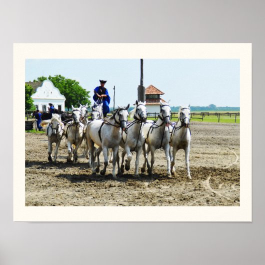 Ungarisches Reiten Poster (Vorne)