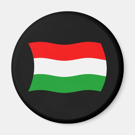 Ungarn Flagge Magnet (Vorne)