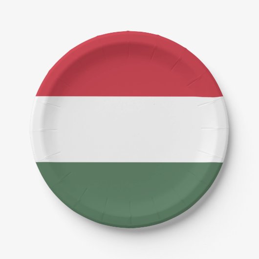 Ungarn-Flagge Pappteller (Vorderseite)